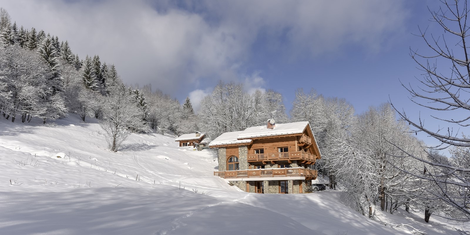 Luxury chalet Meribel