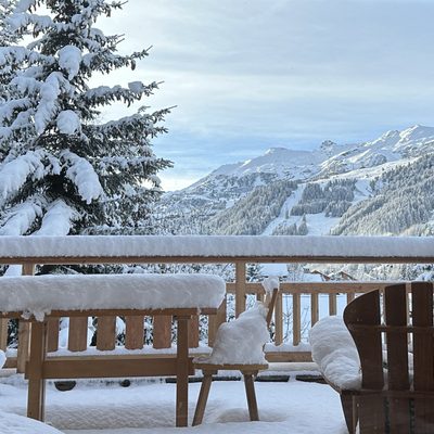 Chalet Etoile des Neiges | Catered Chalet in Meribel