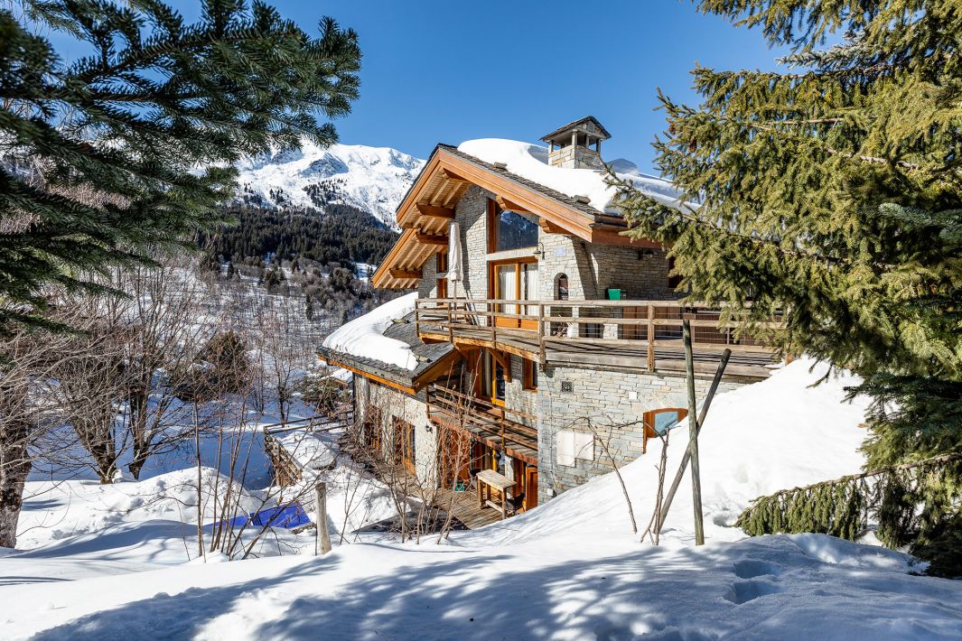 Luxury chalet in Meribel