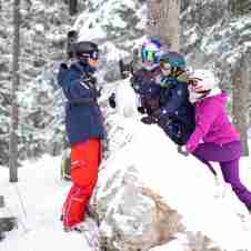 Animal tracking in Meribel
