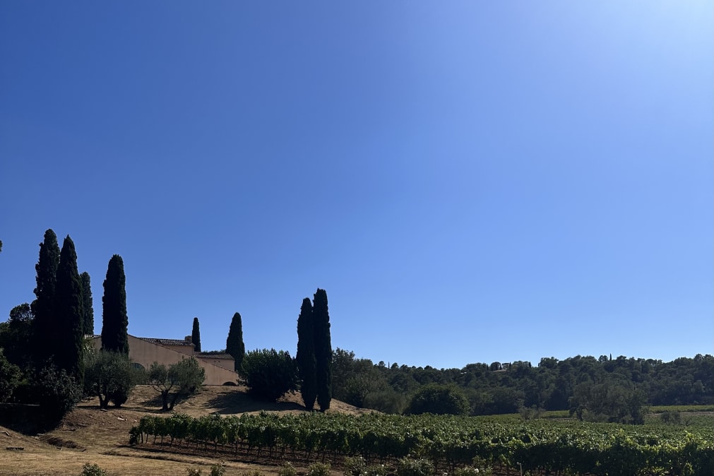 Domaine La Rouillère's - Exceptional Wines