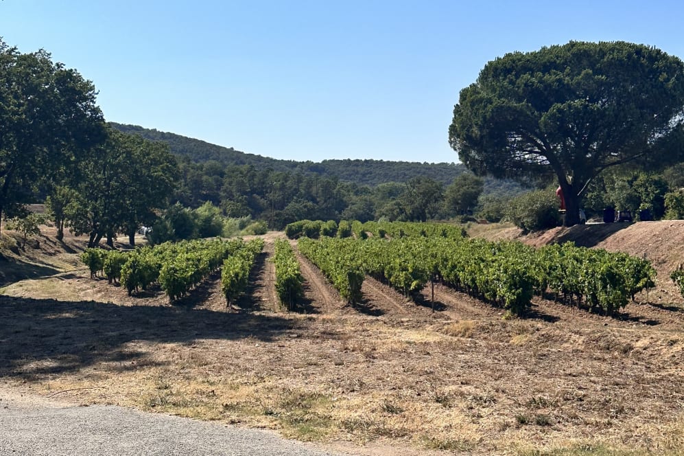 Altiport region of Meribel with the lake