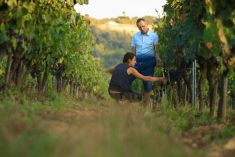 Château Haut Monplaisir Wine growers