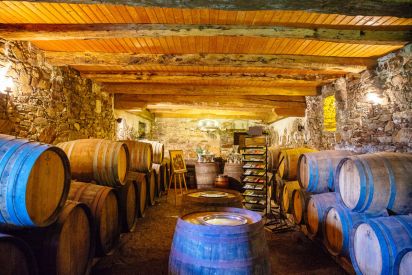 VGC Wine Producers, France