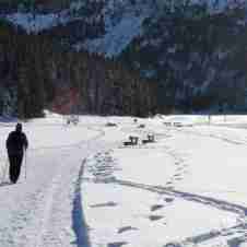 Cross-country Skiing in Meribel